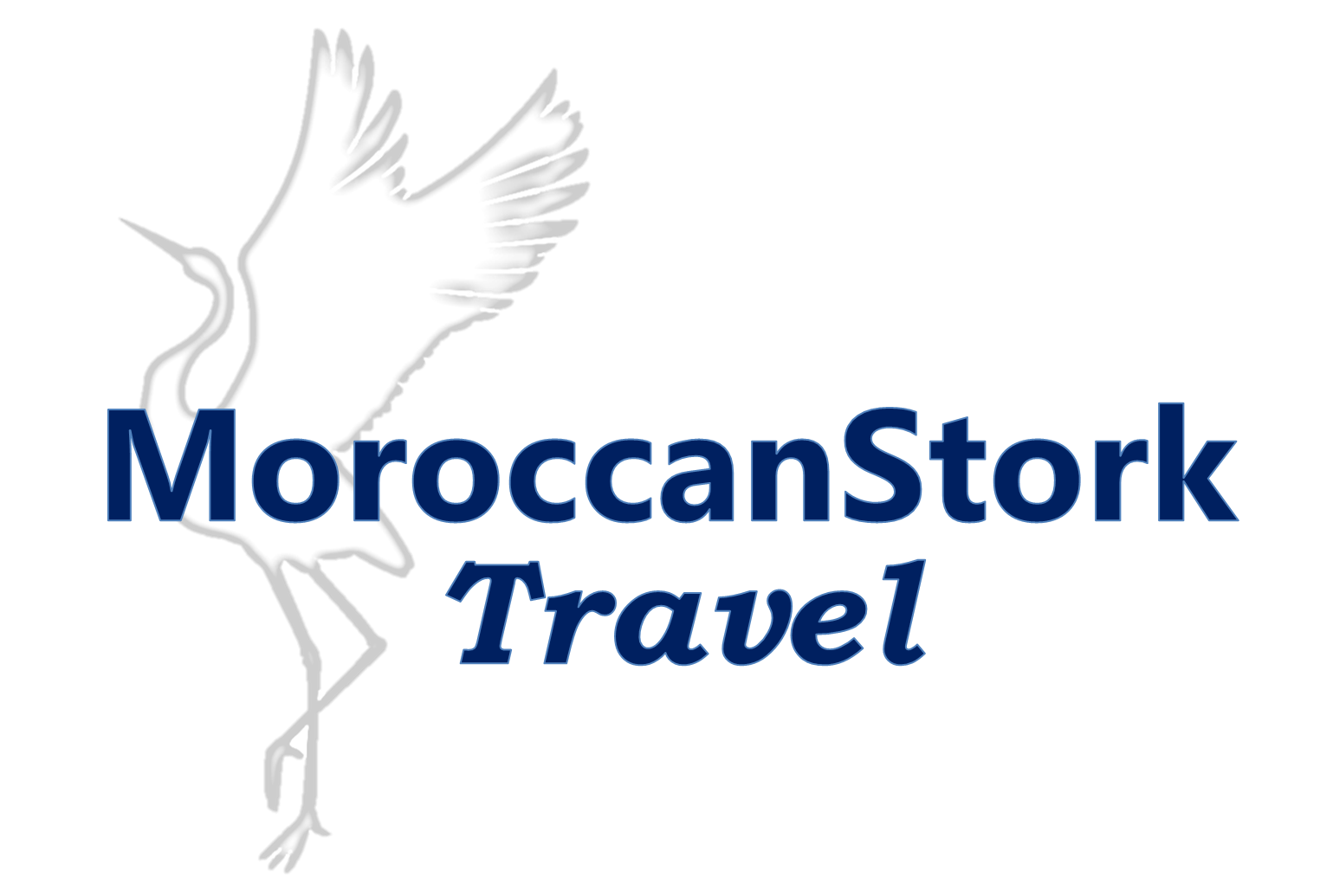 MOROCCAN STORK TRAVEL